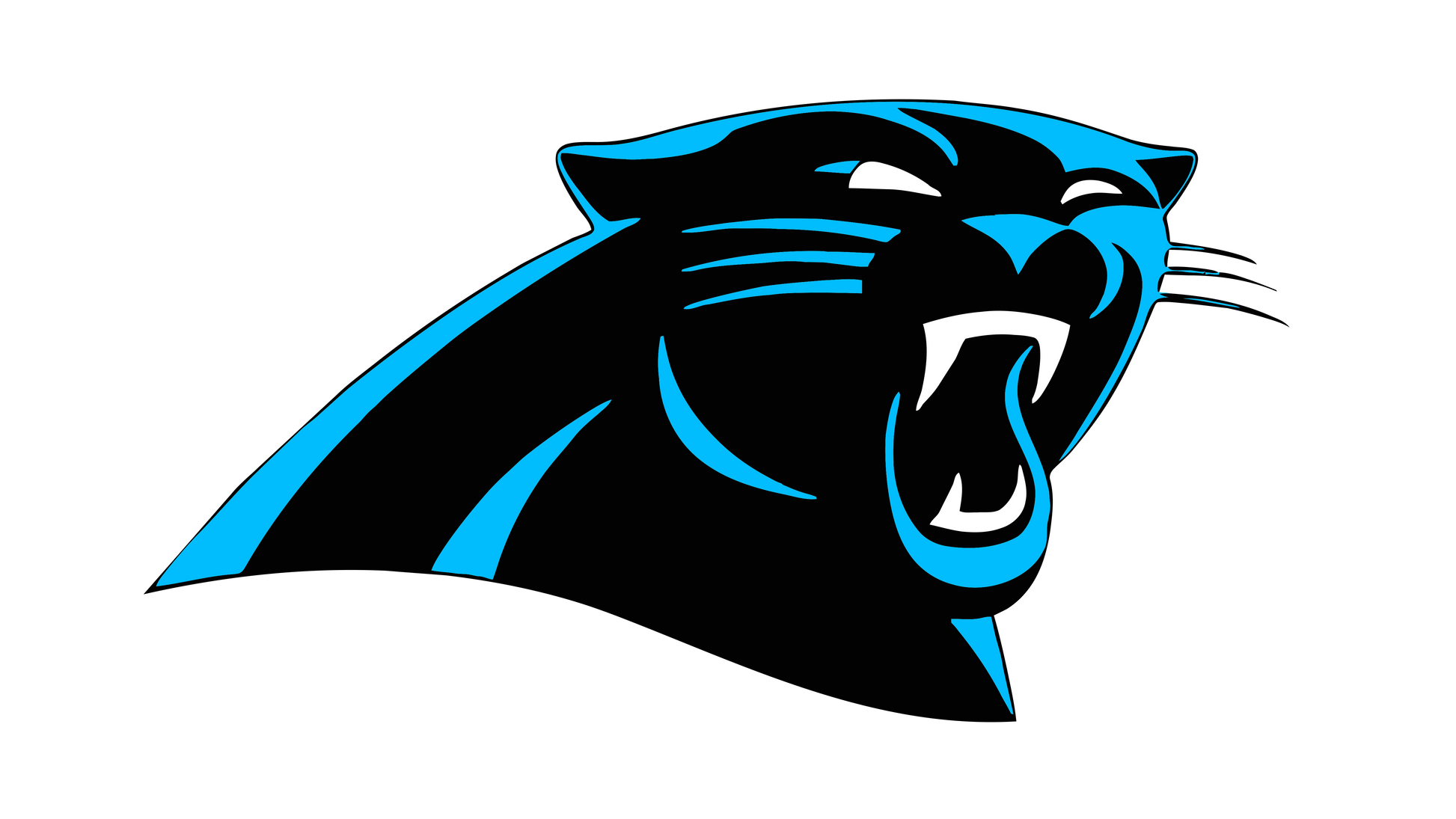 KEEP POUNDING PANTHERS