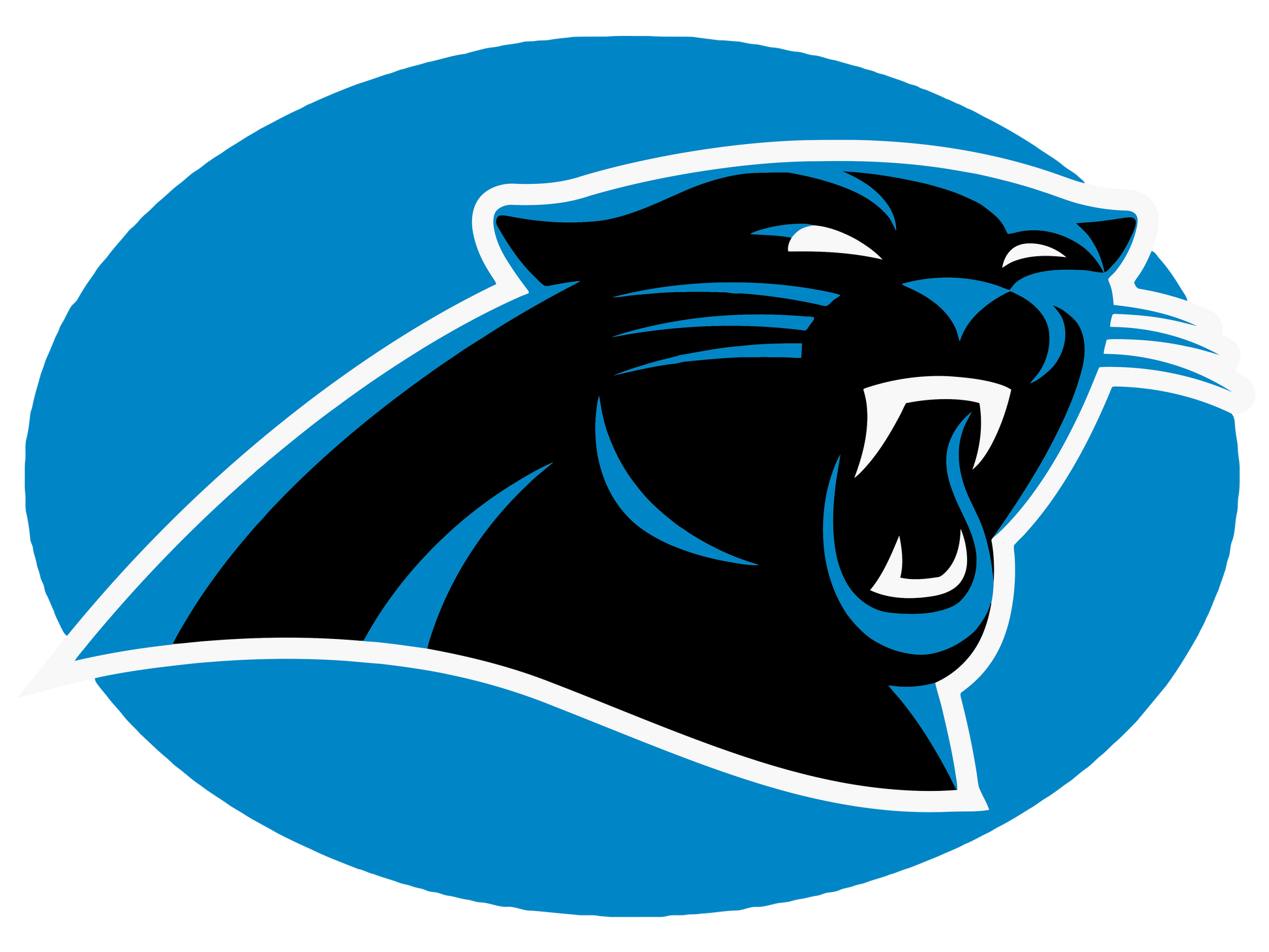 KEEP POUNDING PANTHERS