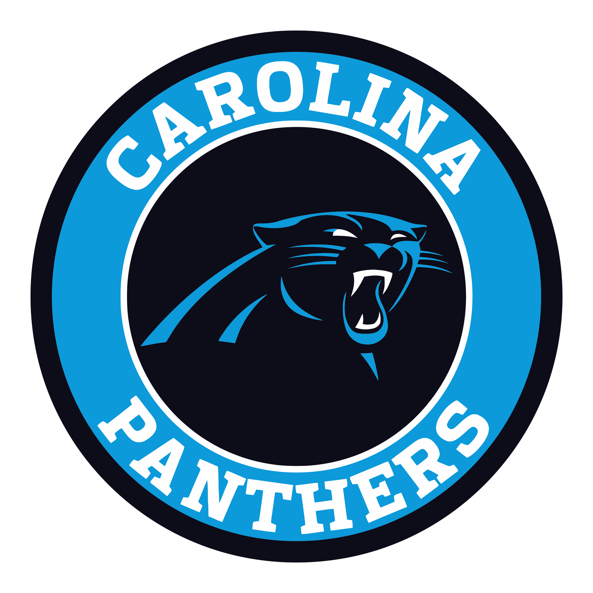 KEEP POUNDING PANTHERS