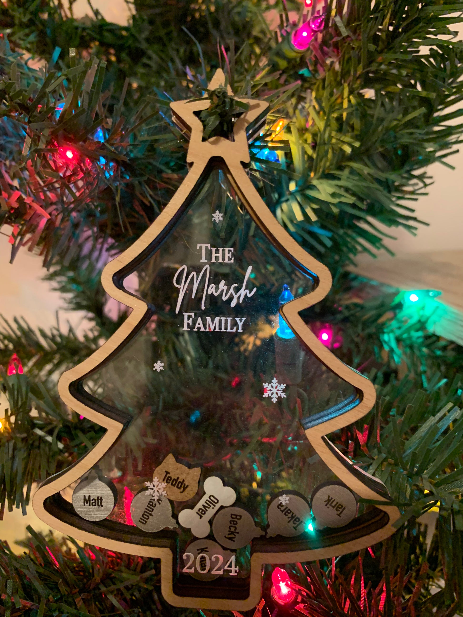 Christmas Shaker Ornament
